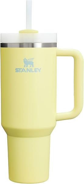 Stanley Quencher cup